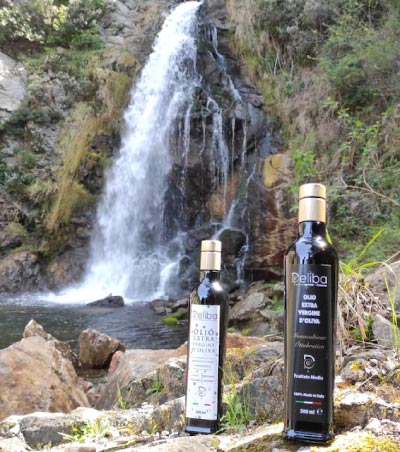 Olio evo Deliba appoggiato al bordo della cascata galasia del parco nazionale dell'Aspromonte in Calabria Molochio